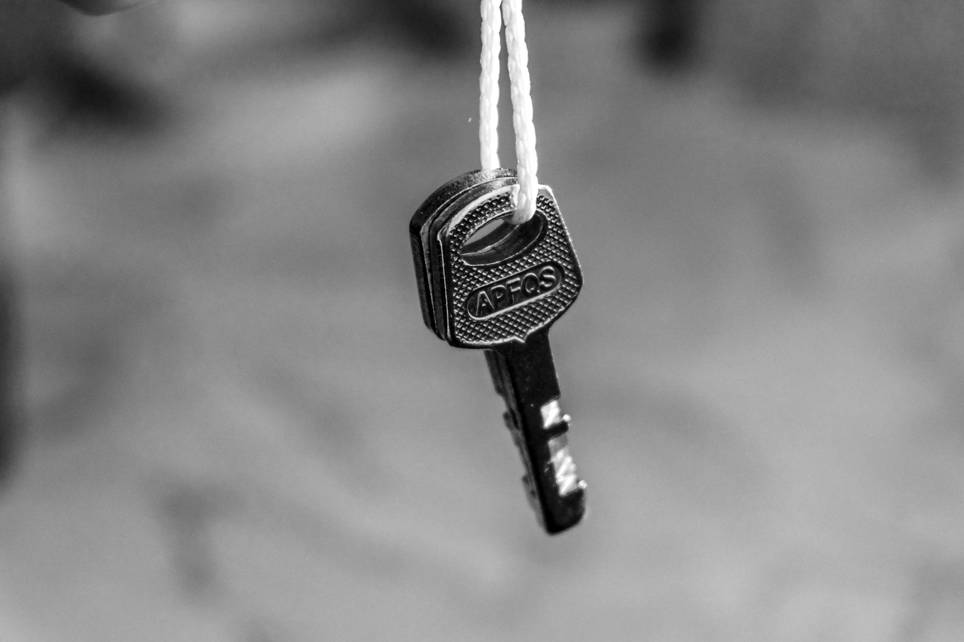 What Is the Difference Between Token Burn and Token Lock?