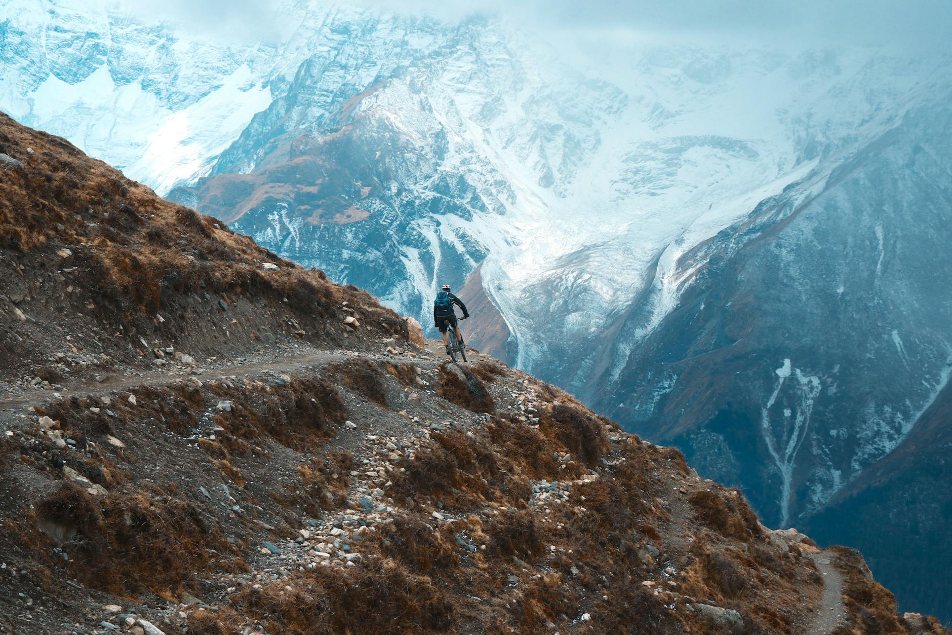 Understanding Crypto Market Cycles: From Accumulation to Peak