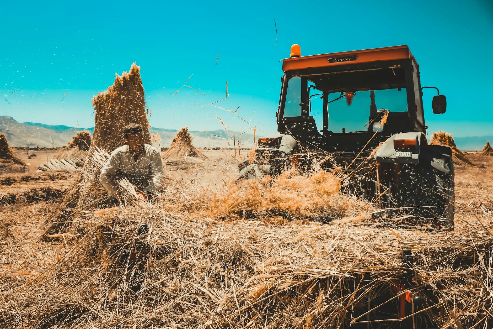What Is Yield Farming on Solana? Risks Explained